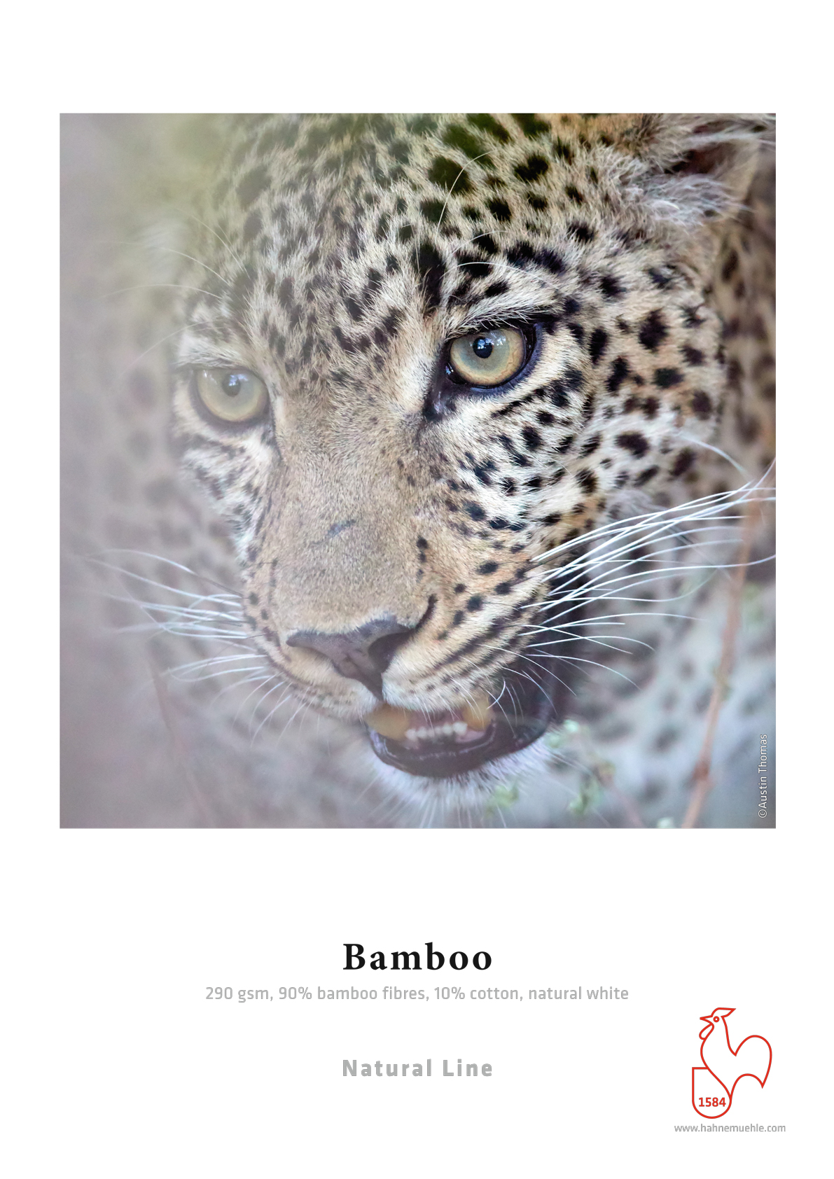Hahnemuhle Bamboo 290gsm - 17" x 22" 25 Sheets (10641407)