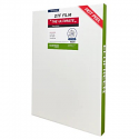 Ecofreen Ultra Transfer Film for Direct to Film (Hot Peel DTF) 11.75" x 16.5" 200 Sheets